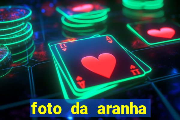 foto da aranha mais feia do mundo